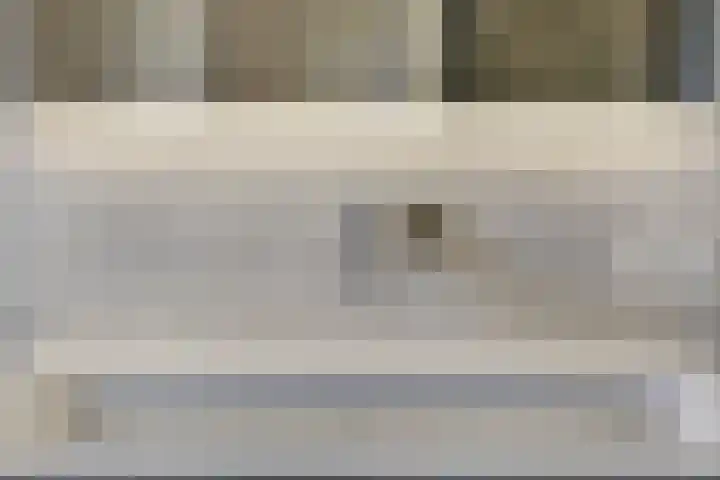 Repelakker 8 Nuenen thumbnail 25