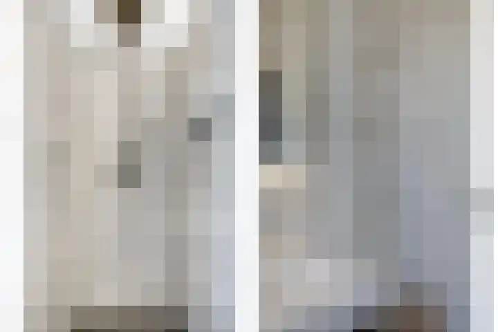 Repelakker 8 Nuenen thumbnail 26