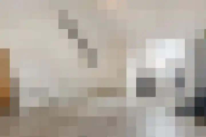 Repelakker 8 Nuenen thumbnail 27