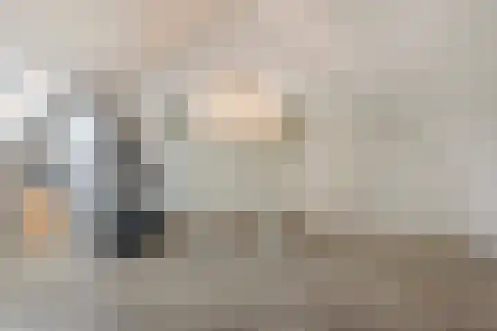 Repelakker 8 Nuenen thumbnail 28