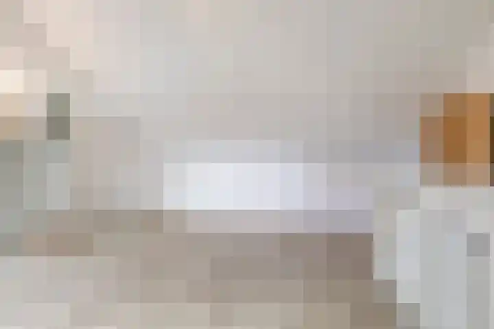 Repelakker 8 Nuenen thumbnail 29