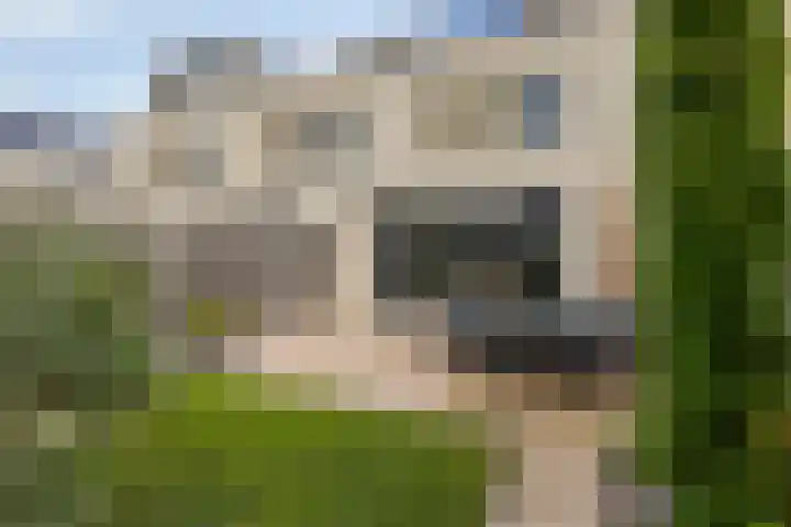 Repelakker 8 Nuenen thumbnail 31