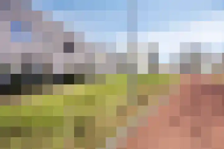 Repelakker 8 Nuenen thumbnail 33