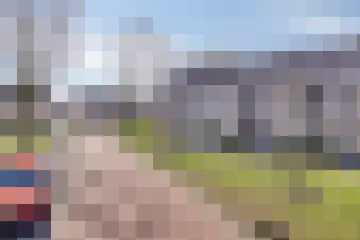 Repelakker 8 Nuenen thumbnail 34