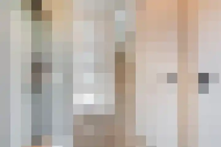 Repelakker 8 Nuenen thumbnail 5