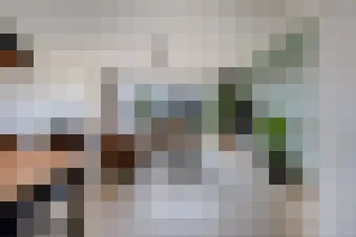 Repelakker 8 Nuenen thumbnail 7