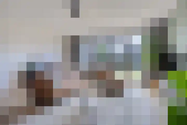 Repelakker 8 Nuenen thumbnail 8