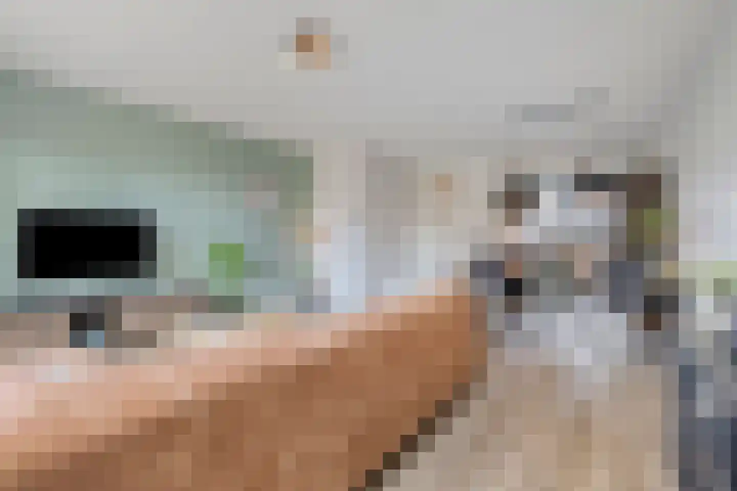 Repelakker 8 Nuenen thumbnail 9