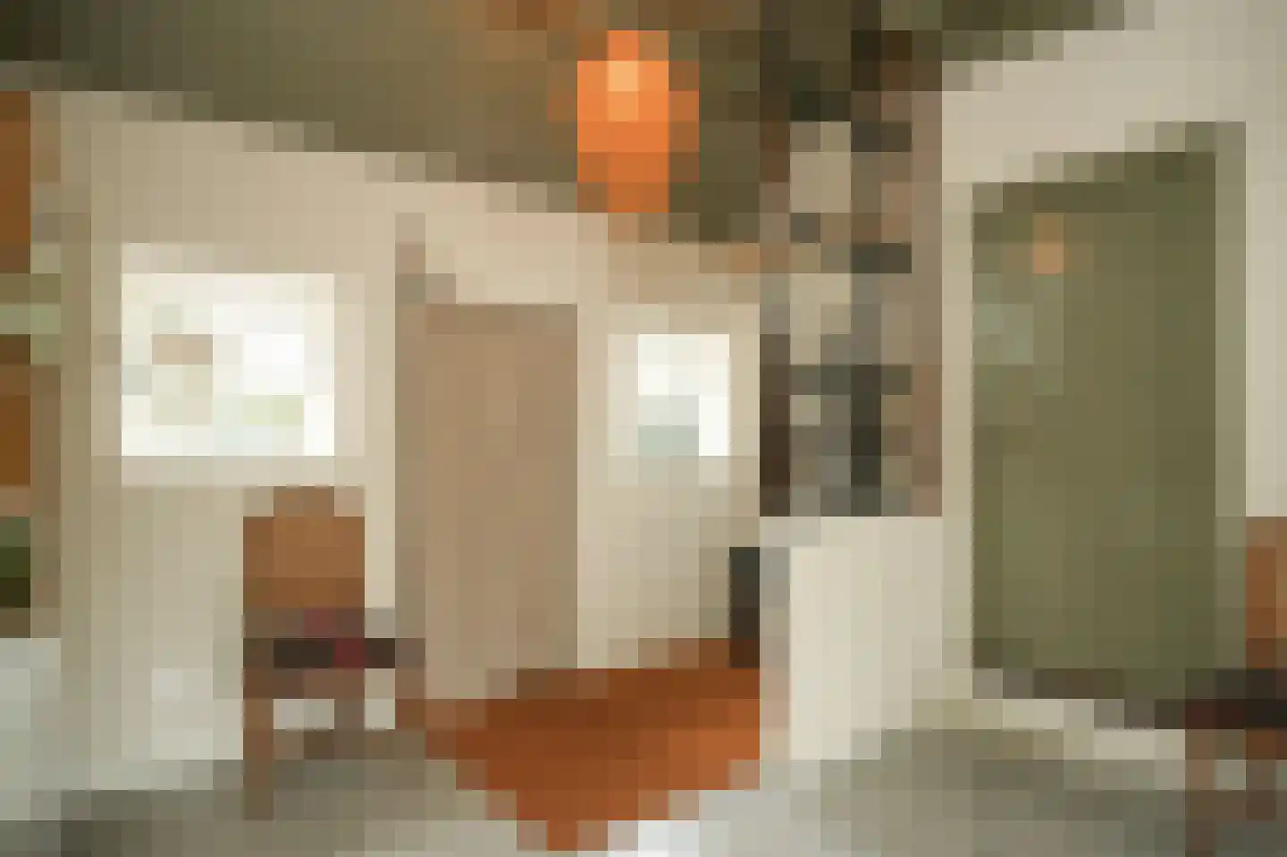 Repelsestraat 6 Neerijnen thumbnail 15