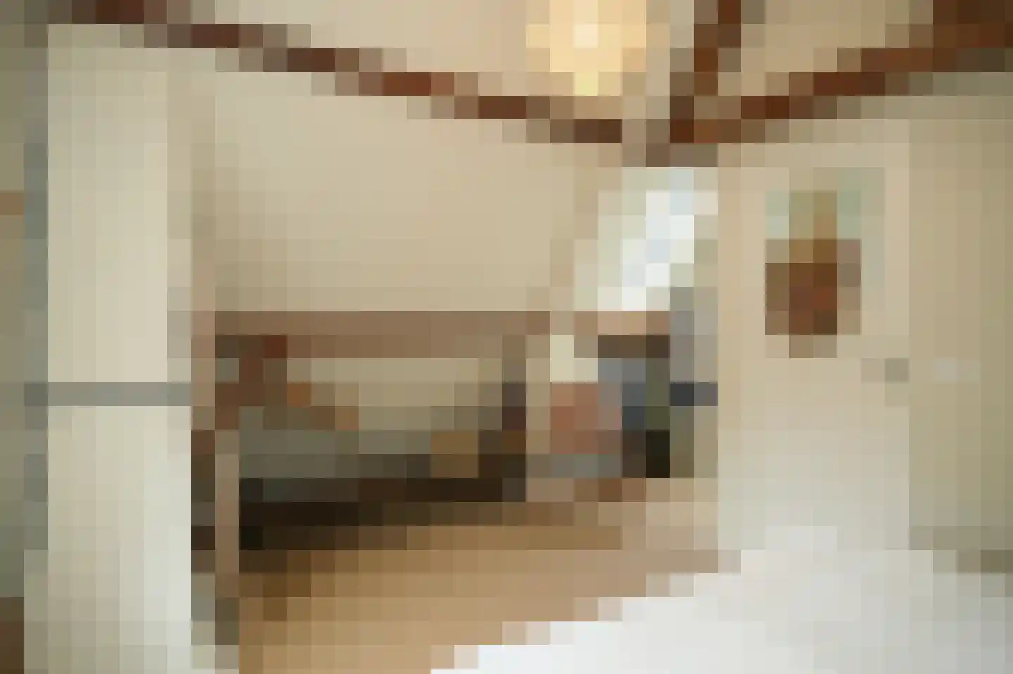 Repelsestraat 6 Neerijnen thumbnail 21