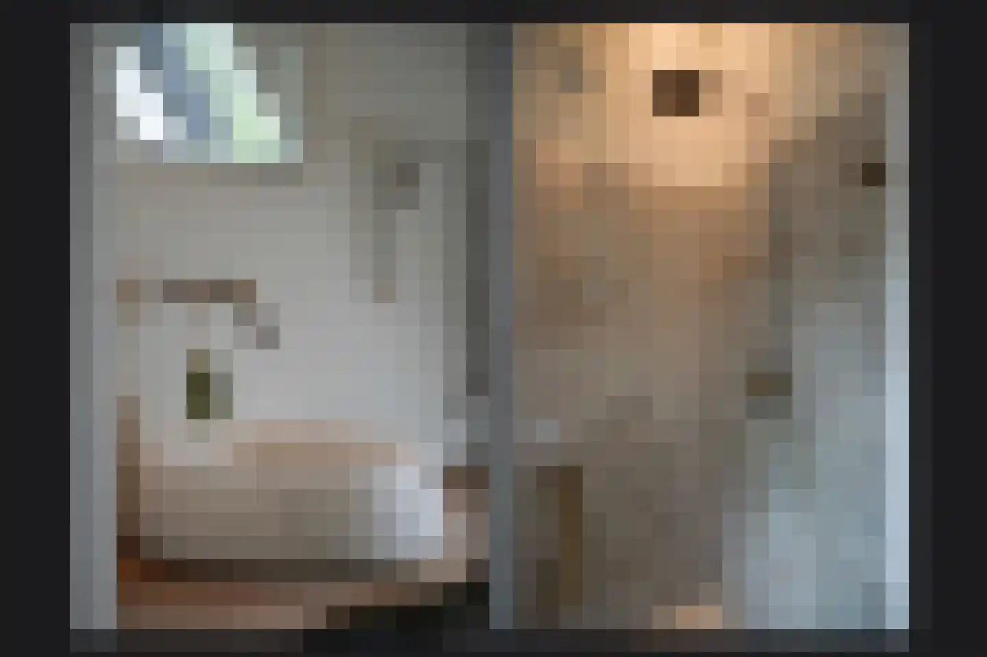 Repelsestraat 6 Neerijnen thumbnail 24