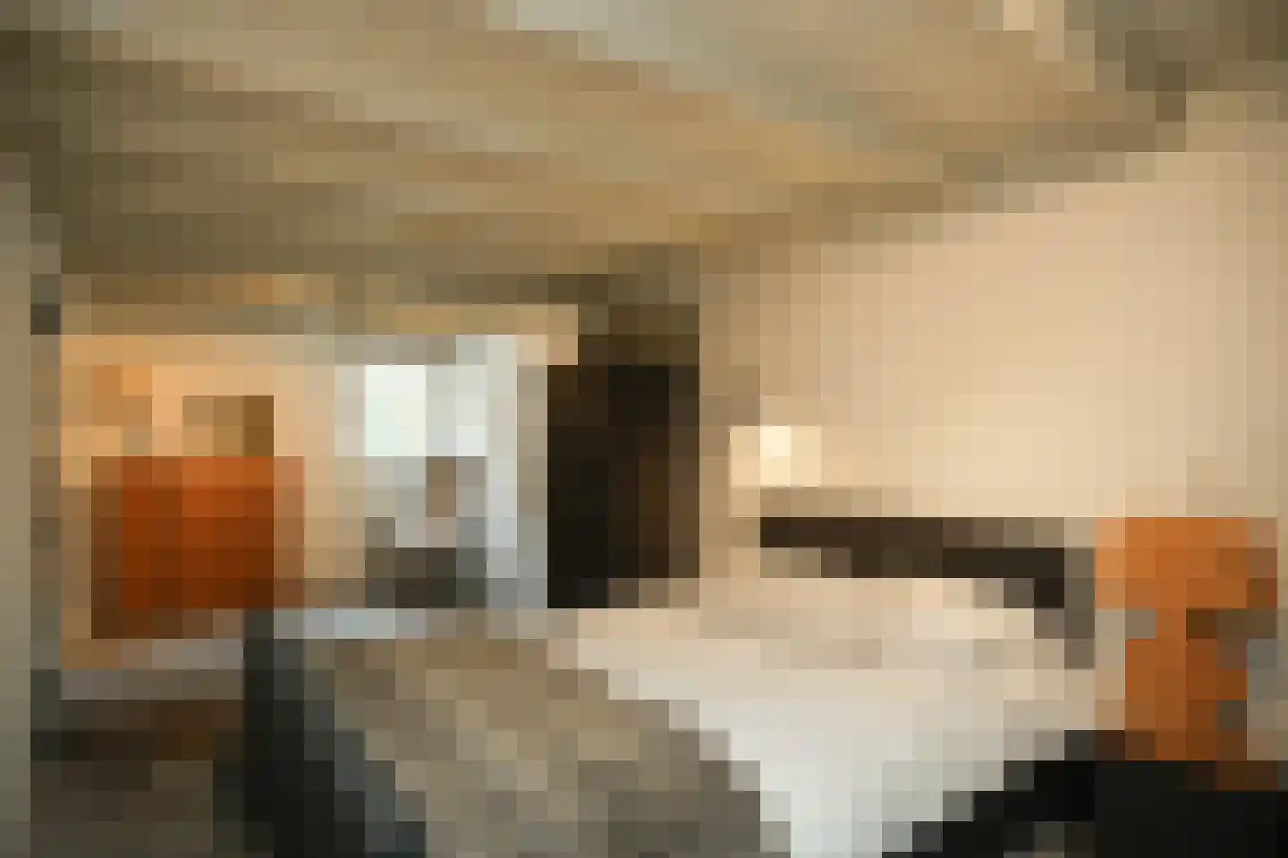 Repelsestraat 6 Neerijnen thumbnail 33