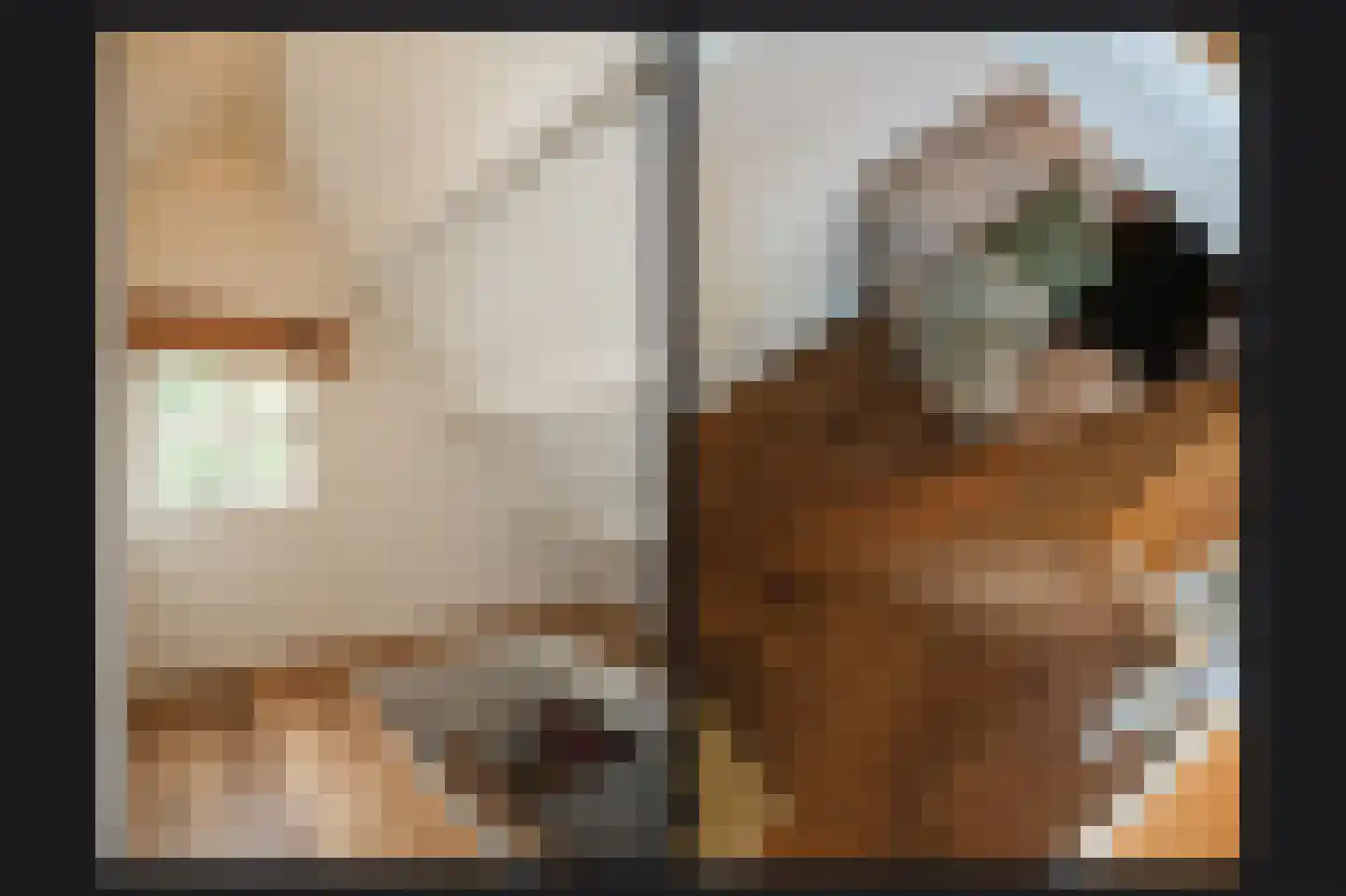 Repelsestraat 6 Neerijnen thumbnail 39