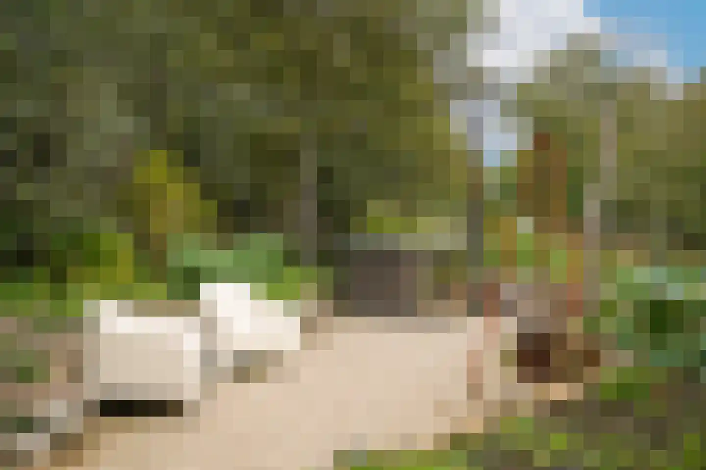 Repelsestraat 6 Neerijnen thumbnail 51