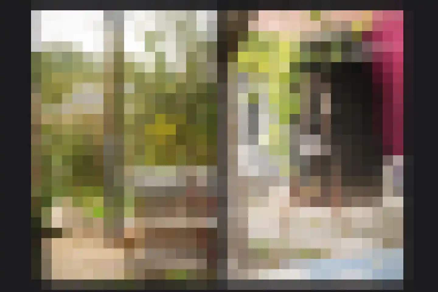 Repelsestraat 6 Neerijnen thumbnail 52