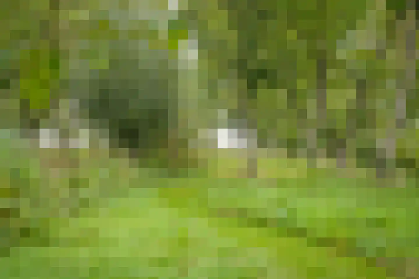 Repelsestraat 6 Neerijnen thumbnail 55