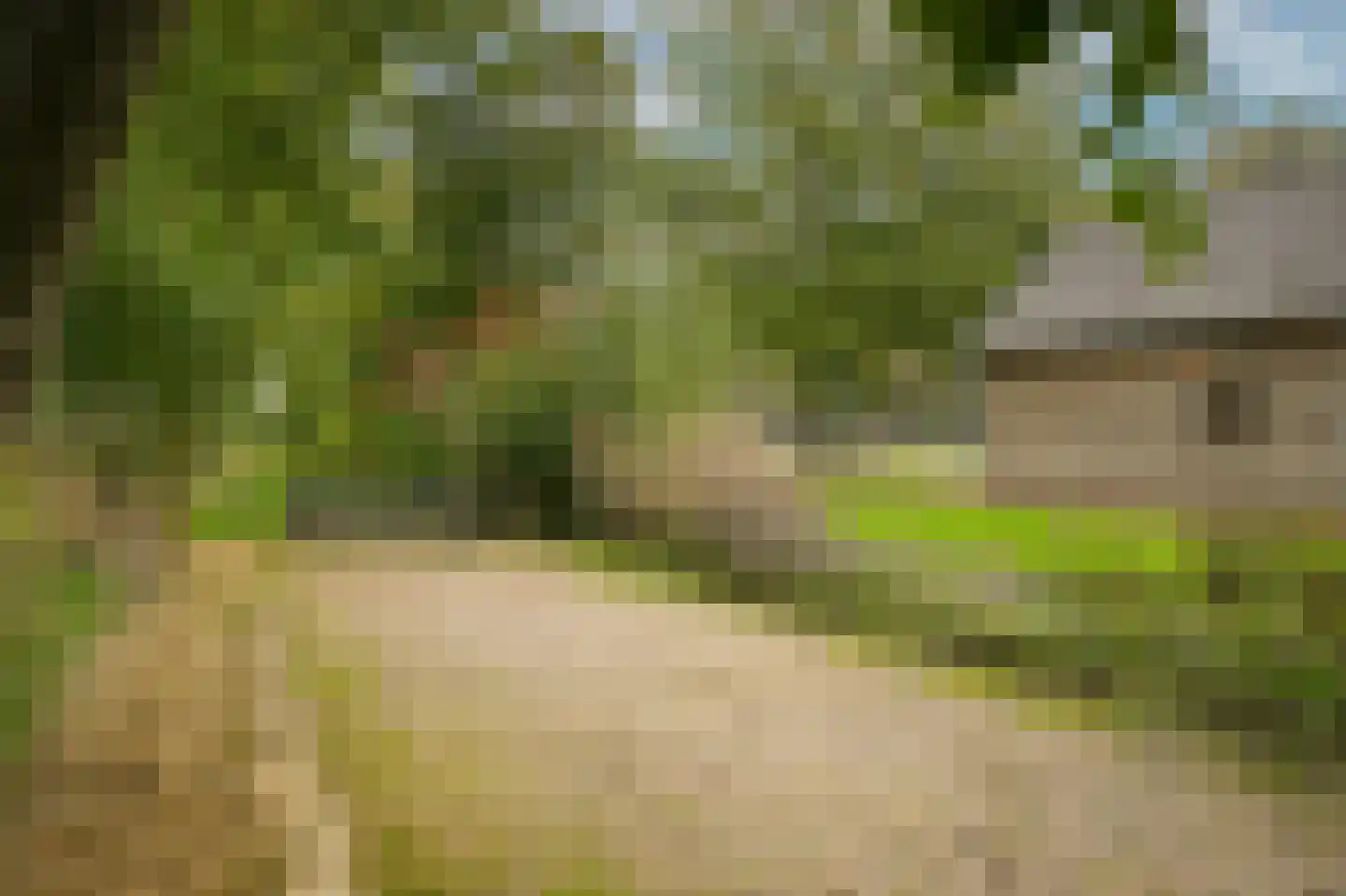 Repelsestraat 6 Neerijnen thumbnail 59