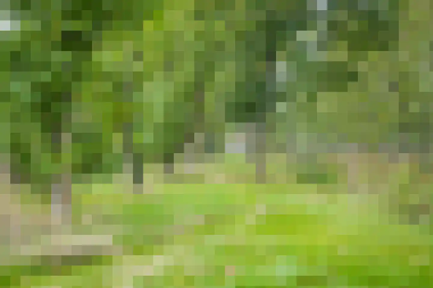 Repelsestraat 6 Neerijnen thumbnail 60