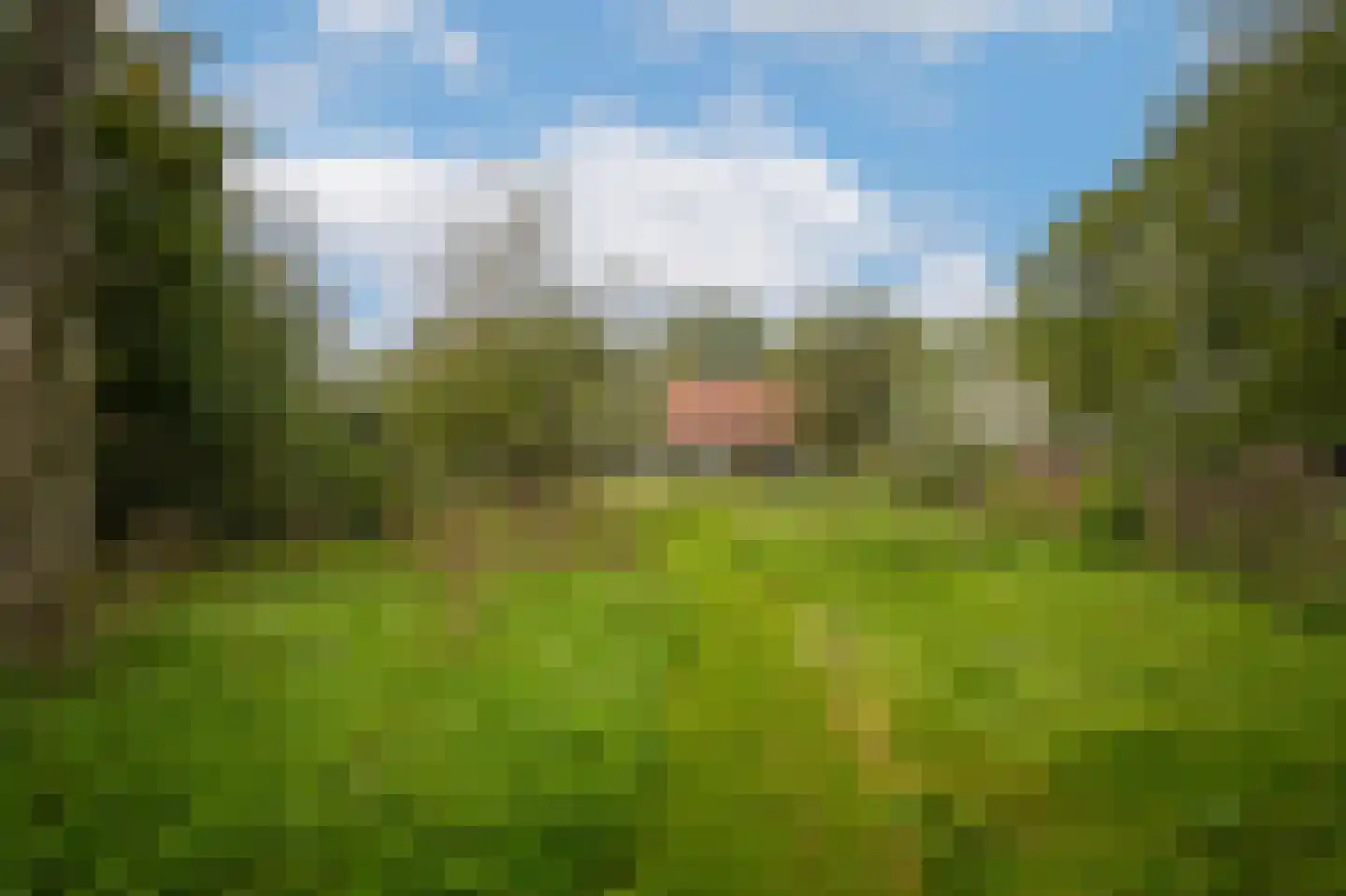 Repelsestraat 6 Neerijnen thumbnail 61