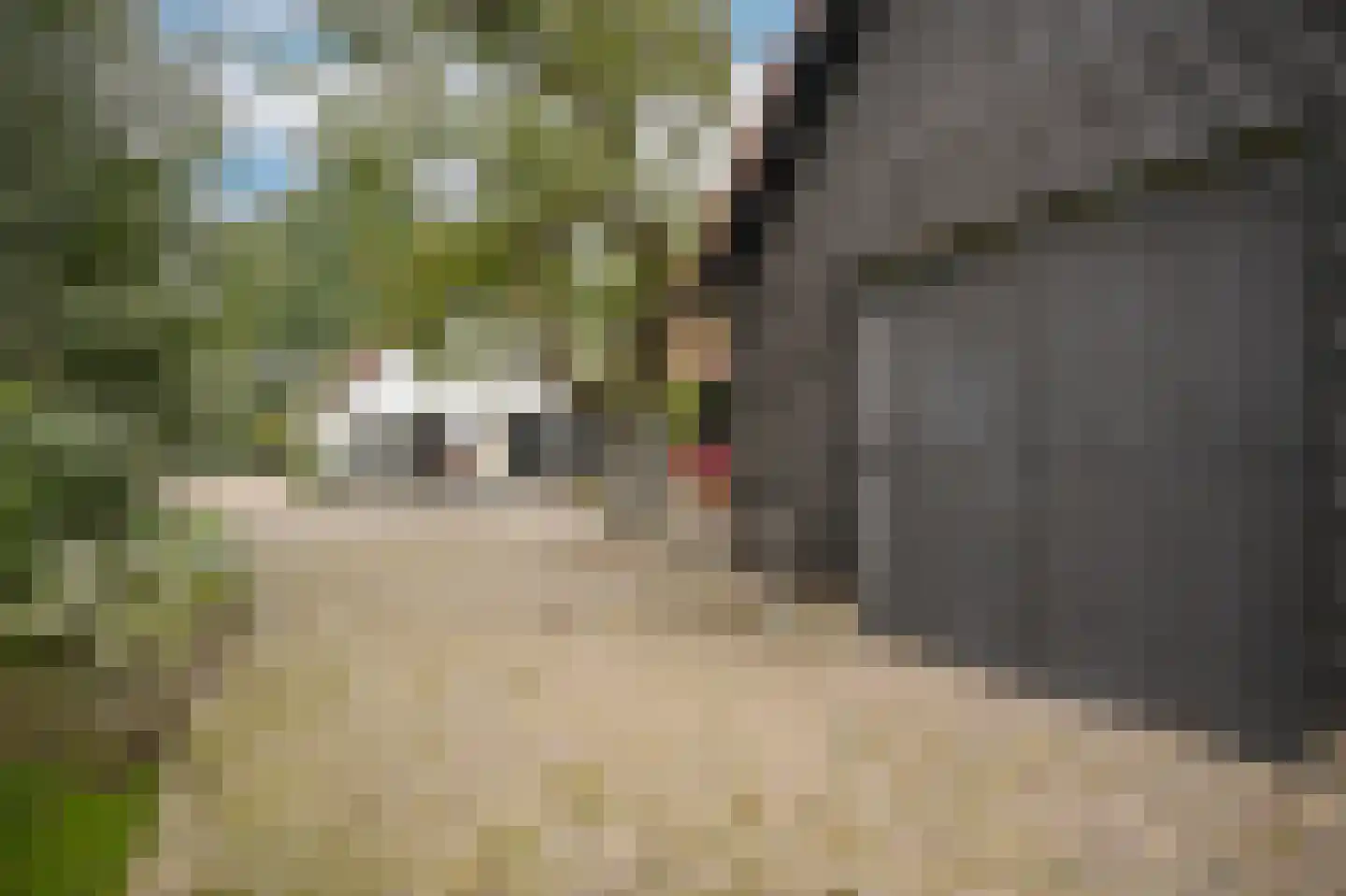 Repelsestraat 6 Neerijnen thumbnail 62
