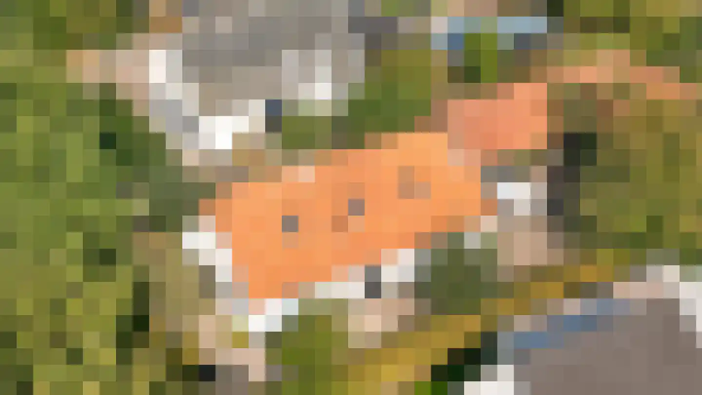 Repelsestraat 6 Neerijnen thumbnail 73