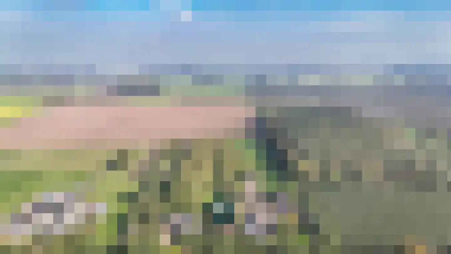 Repelsestraat 6 Neerijnen thumbnail 77