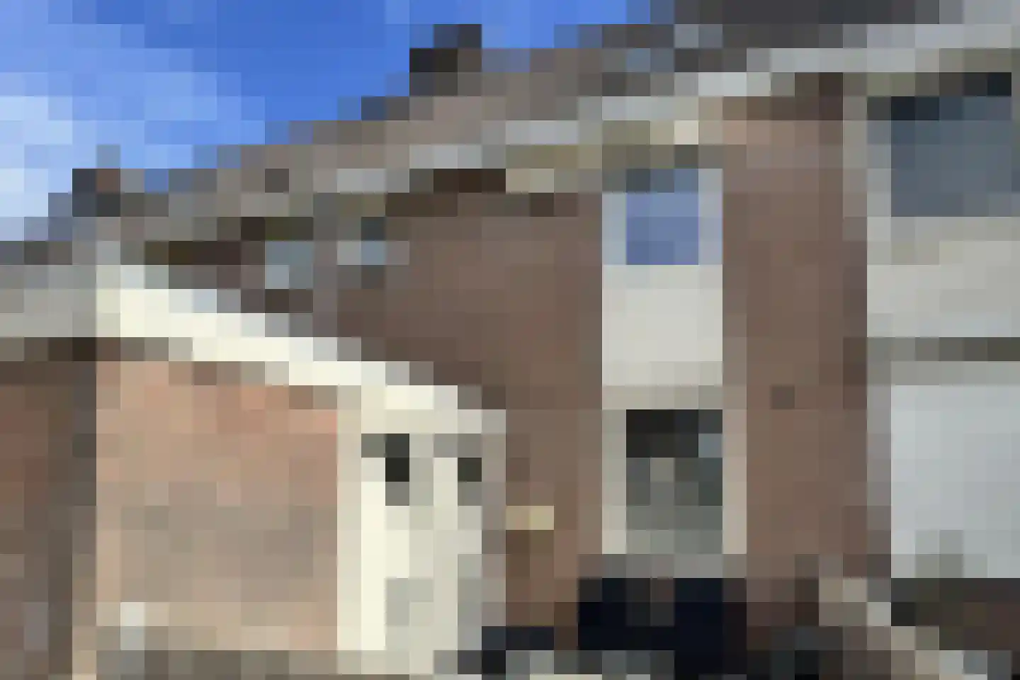 Repelvoorde 9 Spijkenisse