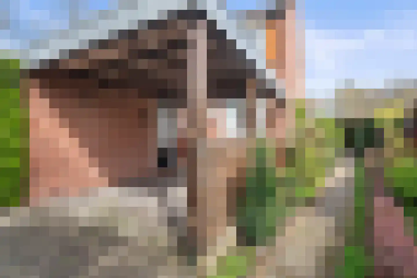 Repelweg 11 Vught thumbnail 34