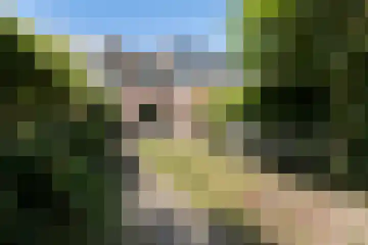 Repelweg 17 Vught thumbnail 41