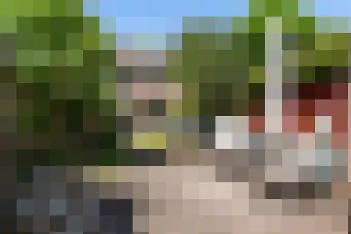 Repelweg 17 Vught thumbnail 44