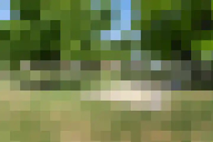 Repelweg 17 Vught thumbnail 6