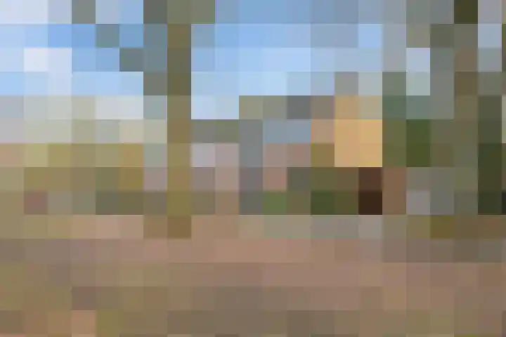 Repelweg 97 Vught thumbnail 7