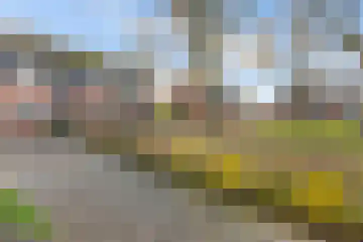 Repelweg 97 Vught thumbnail 8