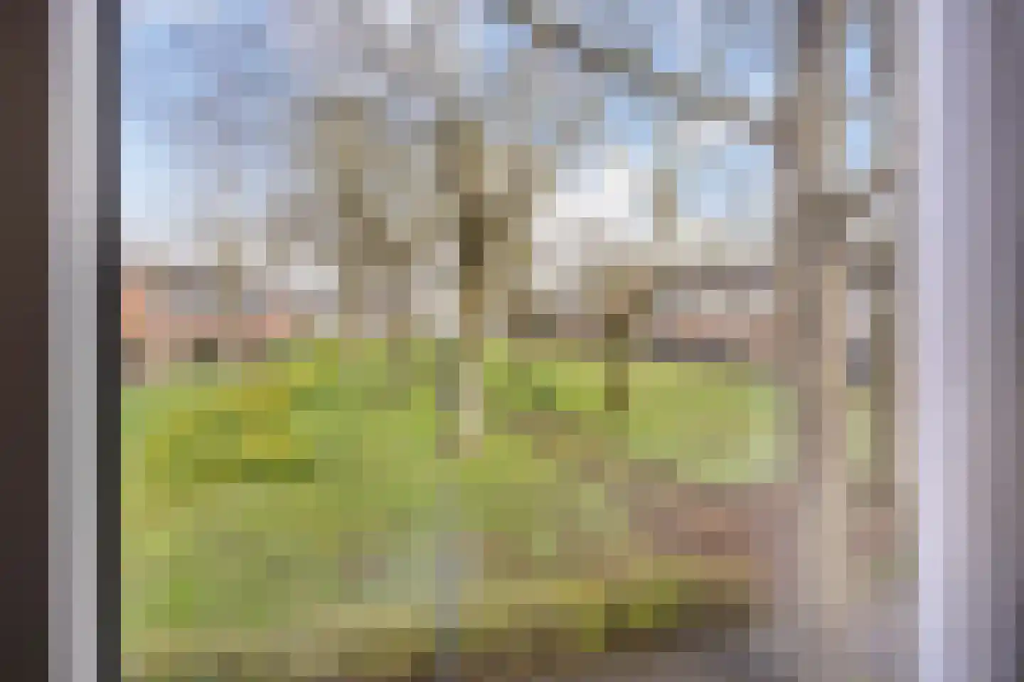 Repelweg 99 Vught thumbnail 16