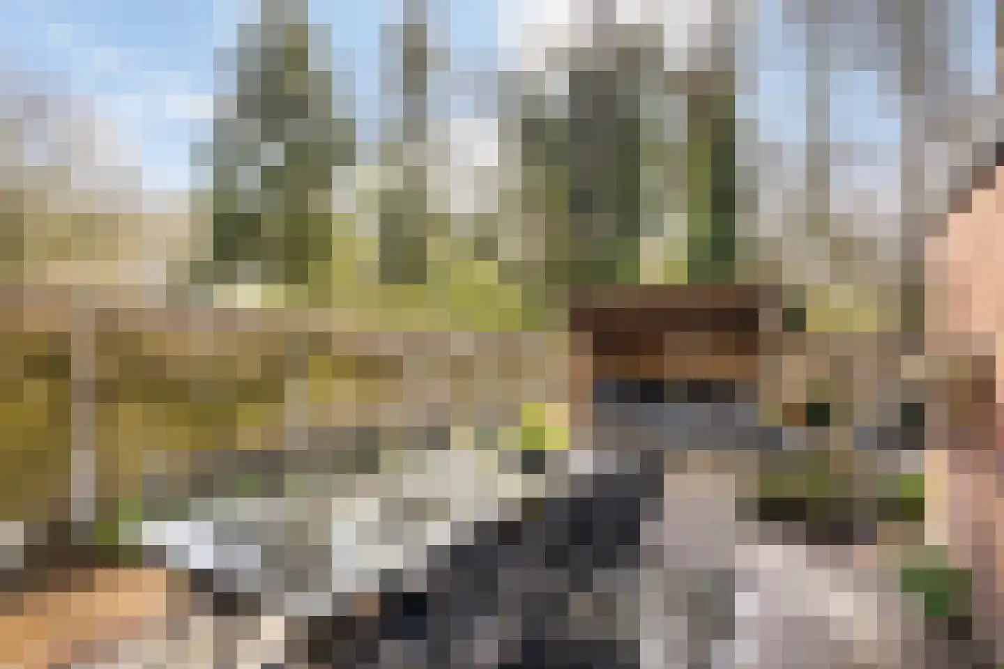 Repelweg 99 Vught thumbnail 29