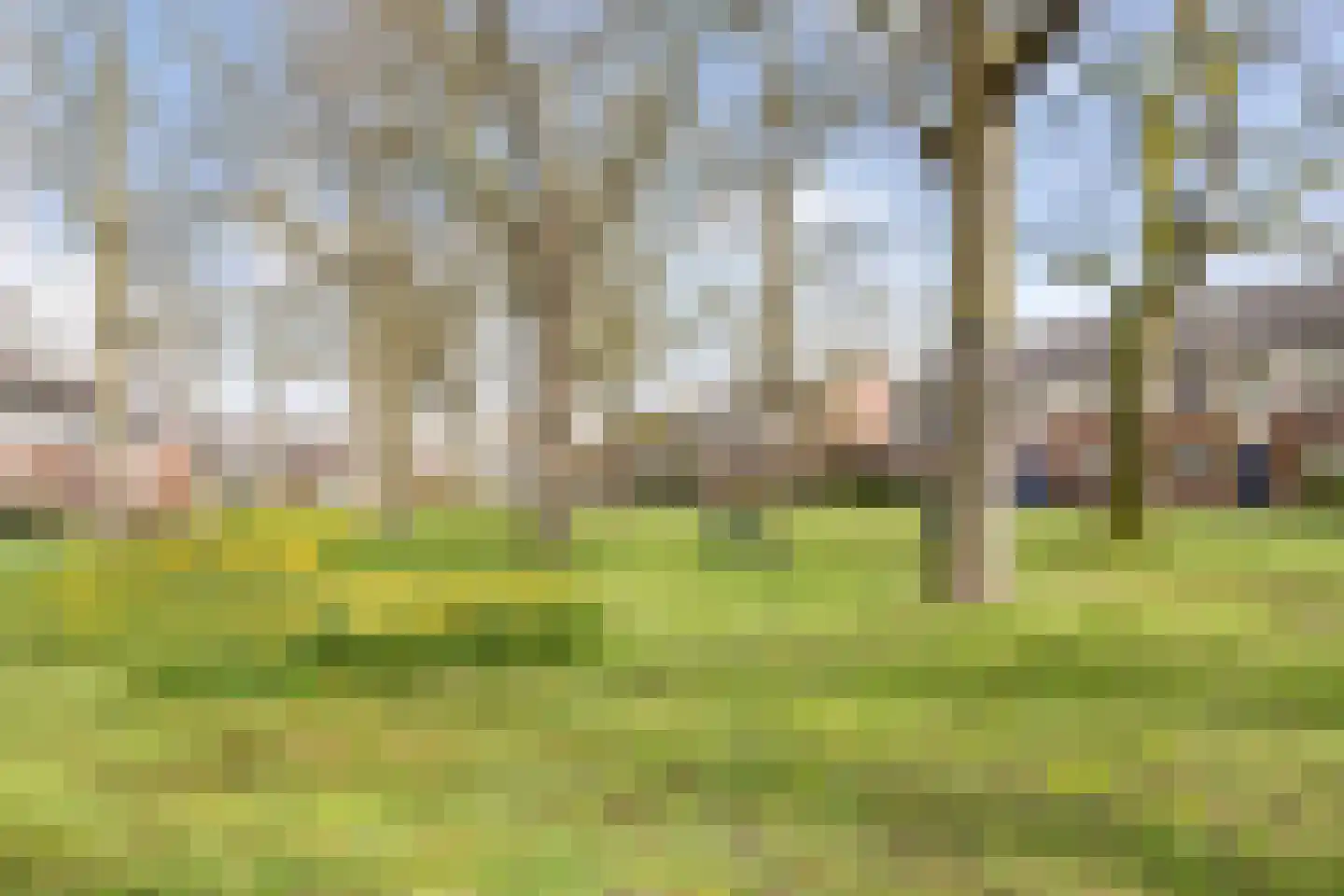 Repelweg 99 Vught thumbnail 36
