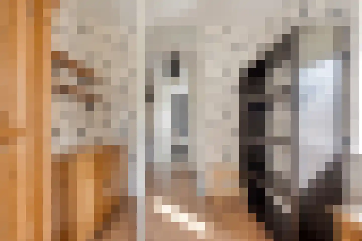 Repelwei 2 Barendrecht thumbnail 21