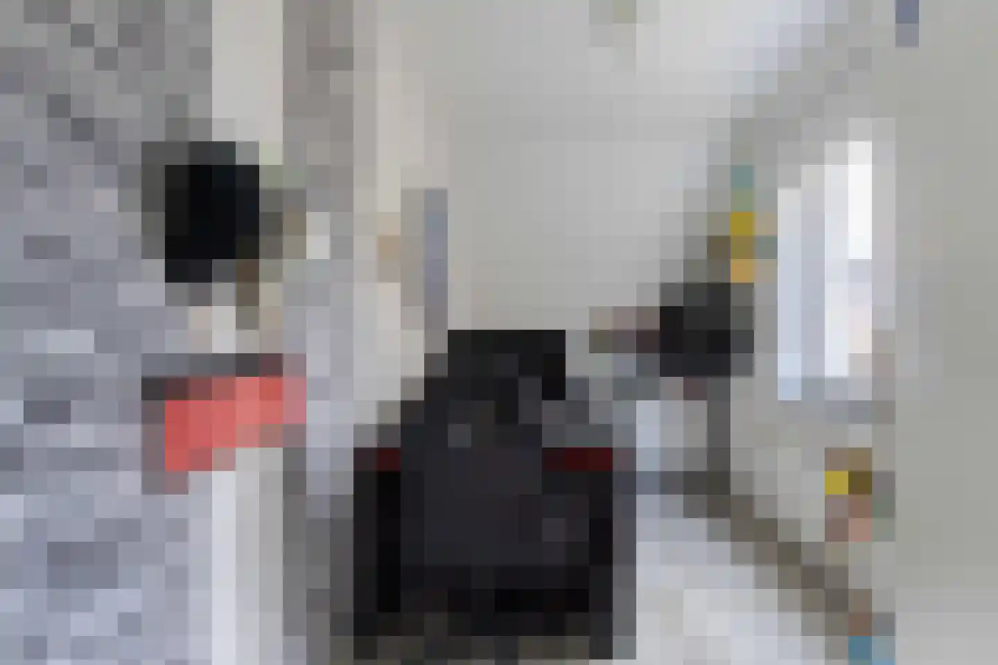 Repenhof 21 Bunde thumbnail 29