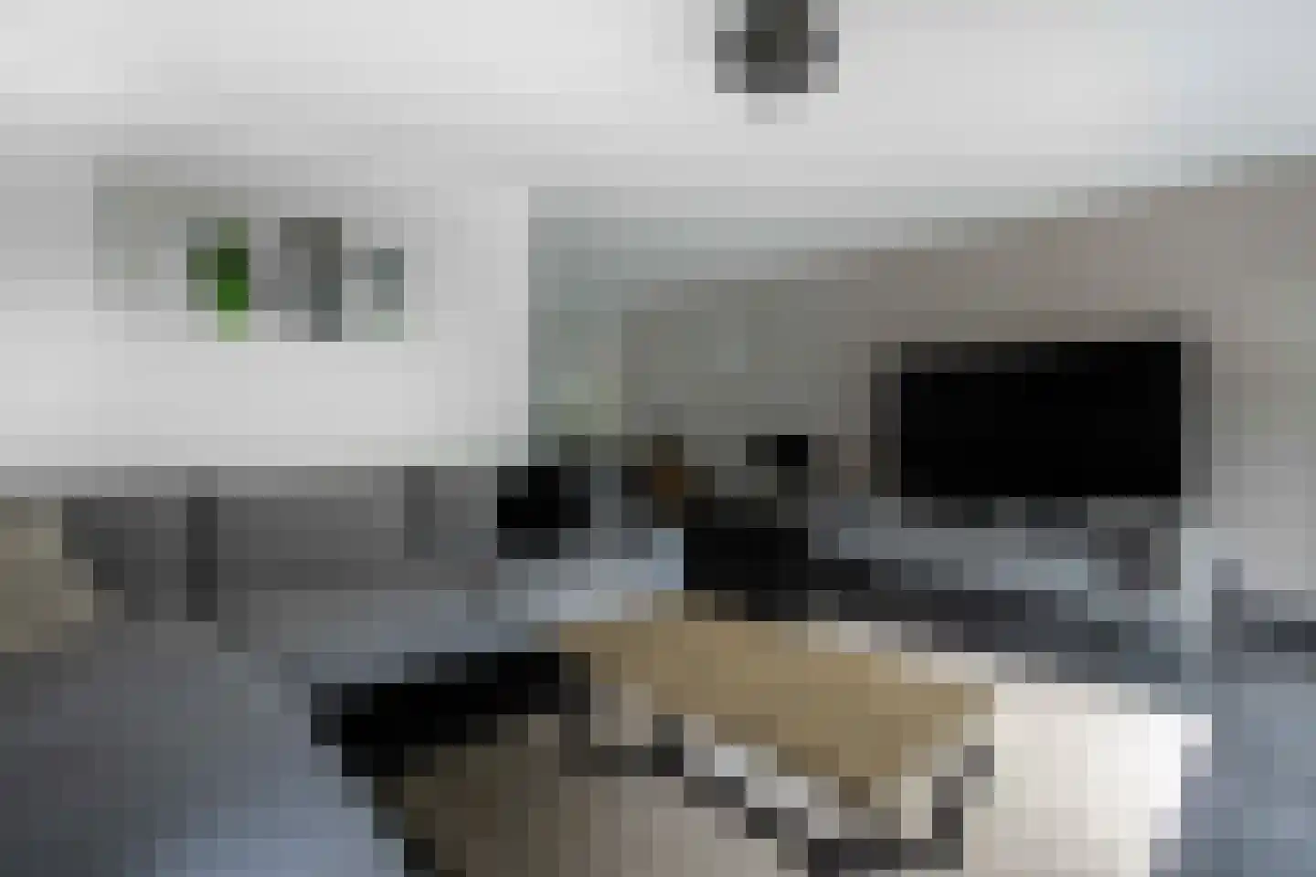 Repenhof 21 Bunde thumbnail 7
