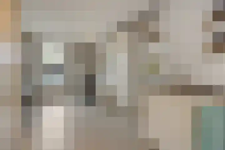 Repertoireweg 32 Rosmalen thumbnail 20