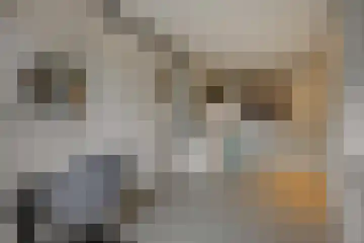 Repertoireweg 32 Rosmalen thumbnail 21