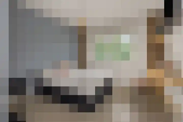 Repertoireweg 32 Rosmalen thumbnail 26