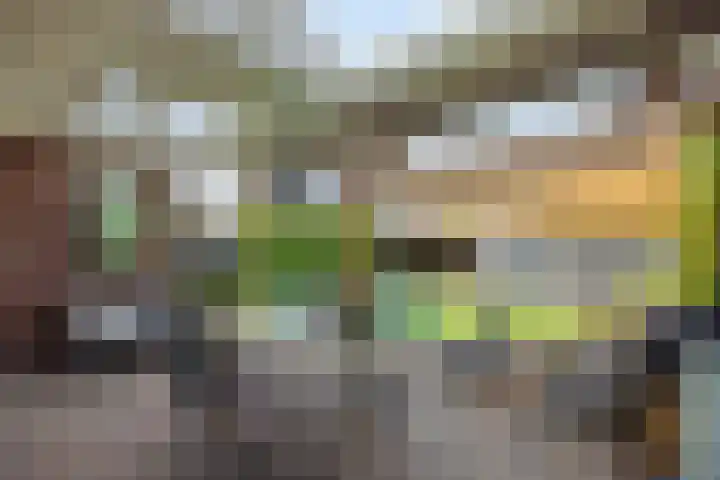 Repertoireweg 32 Rosmalen thumbnail 37