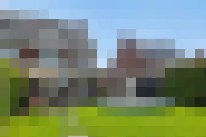 Repertoireweg 32 Rosmalen thumbnail 39