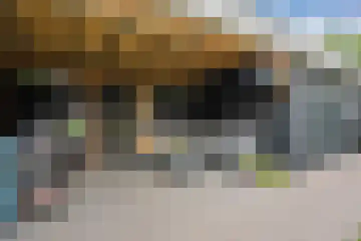 Repertoireweg 32 Rosmalen thumbnail 40