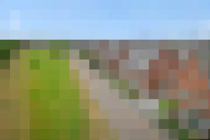 Repertoireweg 32 Rosmalen thumbnail 41
