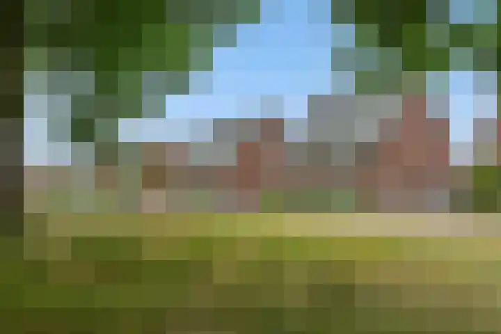 Repertoireweg 32 Rosmalen thumbnail 44