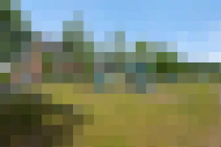 Repertoireweg 32 Rosmalen thumbnail 46