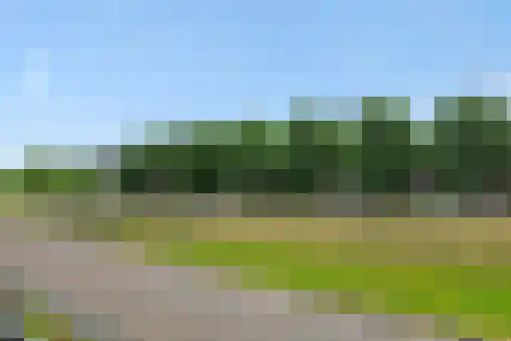 Repertoireweg 32 Rosmalen thumbnail 47