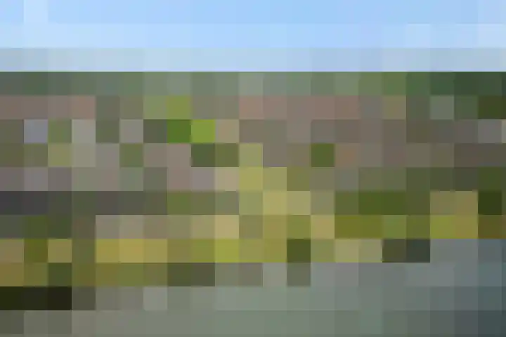 Repertoireweg 32 Rosmalen thumbnail 48
